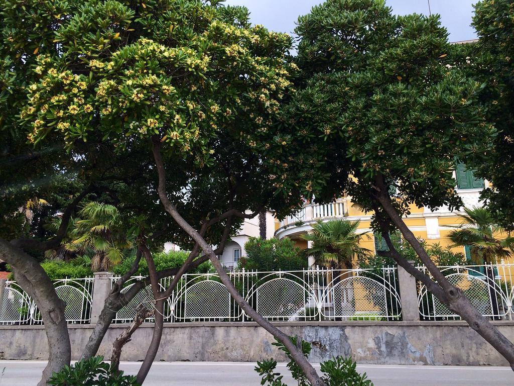 شقة Secret Garden زادار الغرفة الصورة